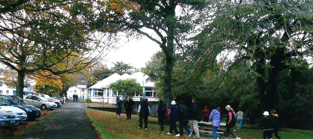 Central Division WDFF 1993-2011