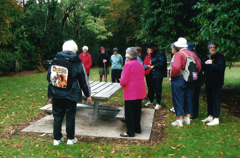 Central Division WDFF 1993-2011