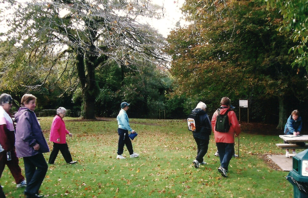 Central Division WDFF 1993-2011