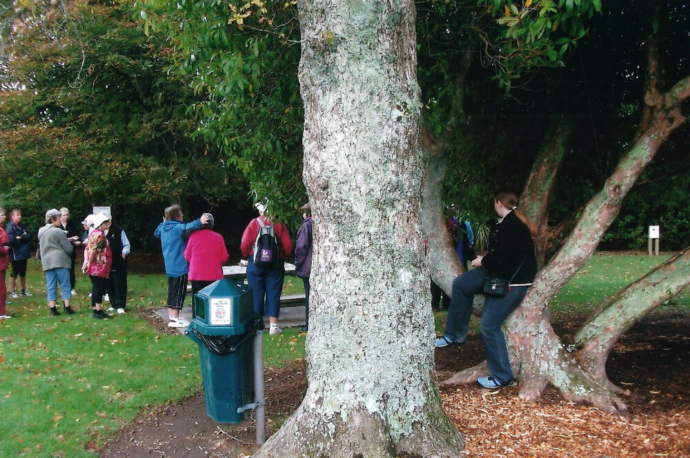 Central Division WDFF 1993-2011