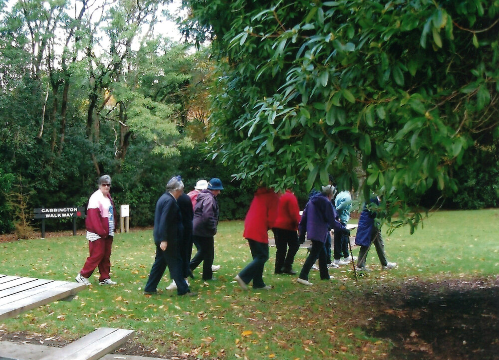 Central Division WDFF 1993-2011