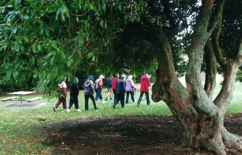 Central Division WDFF 1993-2011