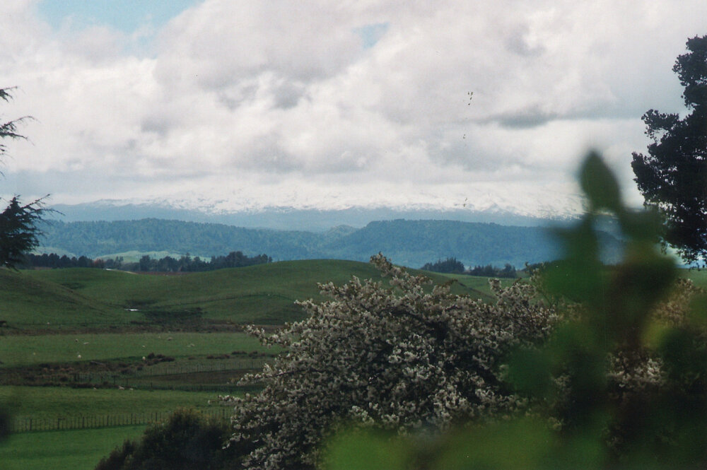 Central Division WDFF 1993-2011