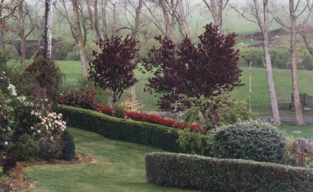 Central Division WDFF 1993-2011