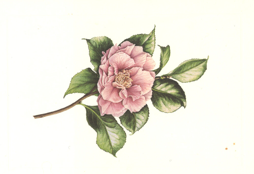 Stratford Inner Wheel