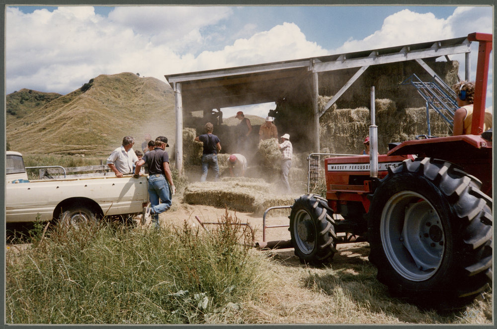 Haymaking 