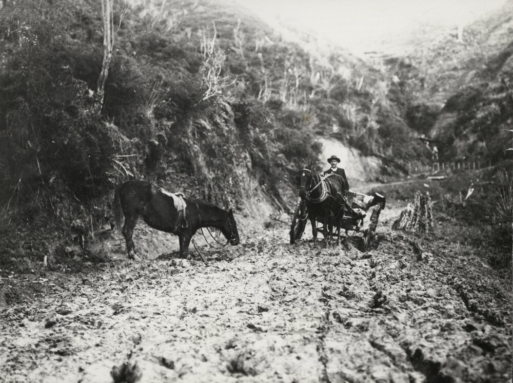 Road over the Pohokura Saddle