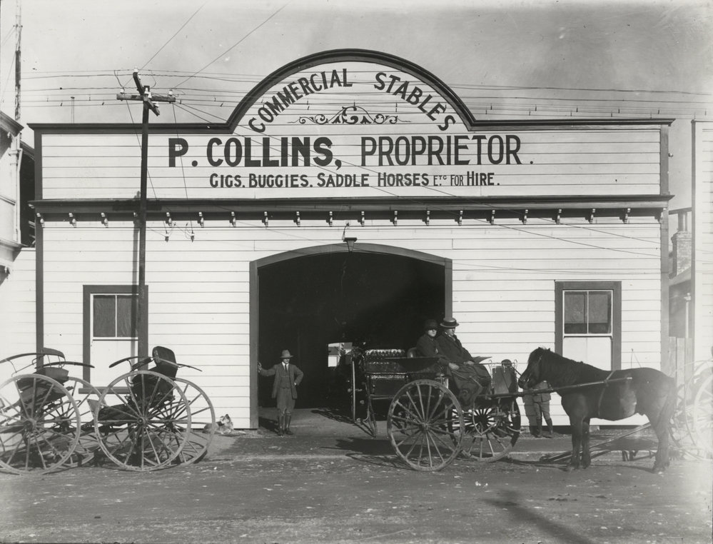 P. Collins Commercial Stables 
