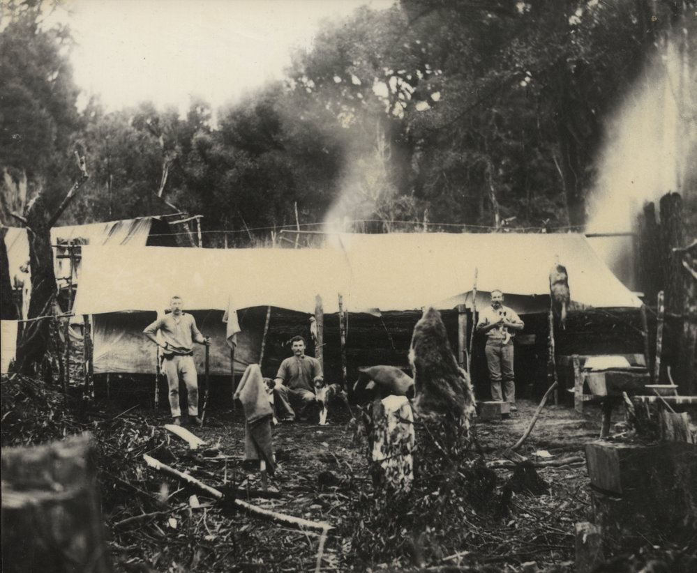 An early bush felling camp near Stratford 