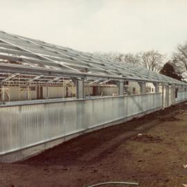 Pool redevelopment 1986