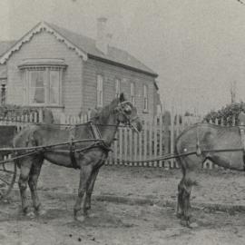 Man and woman in horse-drawn buggy on road.