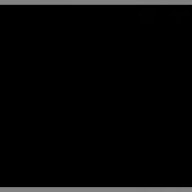 Shakespeare Festivals