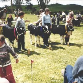 Stanley School - Calf Day - November 1984
