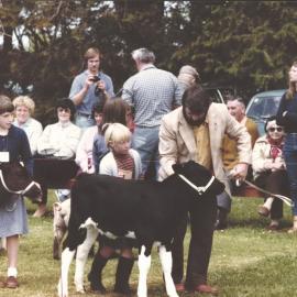 Stanley School - Calf Day - November 1984