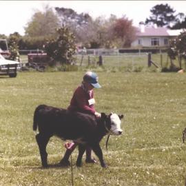 Stanley School - Calf Day - November 1984