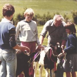 Stanley School - Calf Day - November 1984