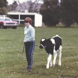 Stanley School - Calf Day - November 1984