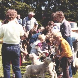 Stanley School - Calf Day - November 1984