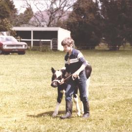 Stanley School - Calf Day - November 1984