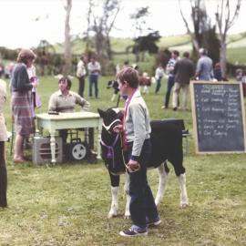 Stanley School - Calf Day - November 1984
