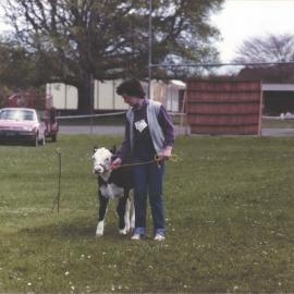 Stanley School - Calf Day - November 1984