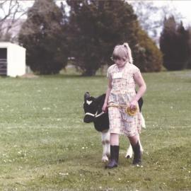 Stanley School - Calf Day - November 1984