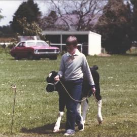 Stanley School - Calf Day - November 1984