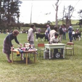 Stanley School - Calf Day - November 1984