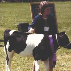 Stanley School - Calf Day - November 1984