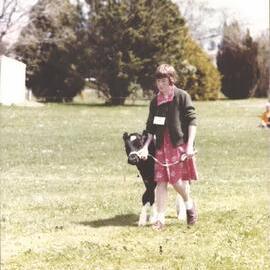 Stanley School - Calf Day - November 1984