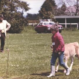Stanley School - Calf Day - November 1984