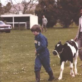 Stanley School - Calf Day - November 1984