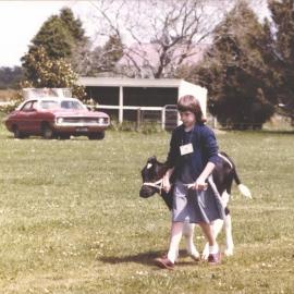 Stanley School - Calf Day - November 1984