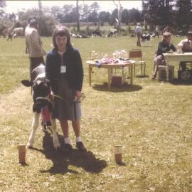 Stanley School - Calf Day - November 1984