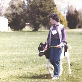 Stanley School - Calf Day - November 1984