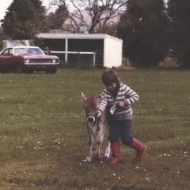 Stanley School - Calf Day - November 1984