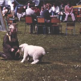 Stanley School - Calf Day - November 1984