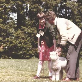 Stanley School - Calf Day - November 1984