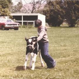 Stanley School - Calf Day - November 1984