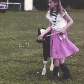 Stanley School - Calf Day - November 1984