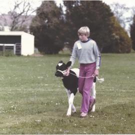 Stanley School - Calf Day - November 1984