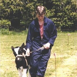 Stanley School - Calf Day - October 1986