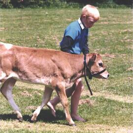 Stanley School - Calf Day - October 1986