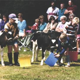 Stanley School - Calf Day - October 1986