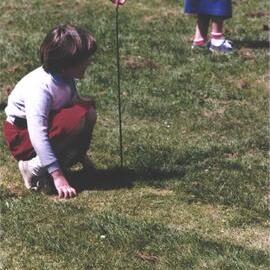 Stanley School - Calf Day - October 1986