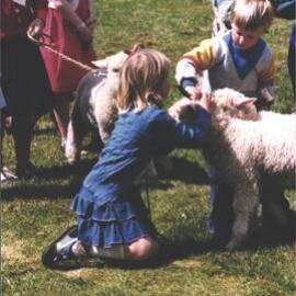 Stanley School - Calf Day - October 1986
