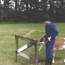 Stanley School - Calf Day - October 1986