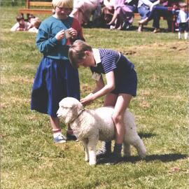 Stanley School - Calf Day - October 1986