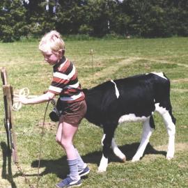 Stanley School - Calf Day - October 1986