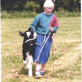 Stanley School - Calf Day - October 1986